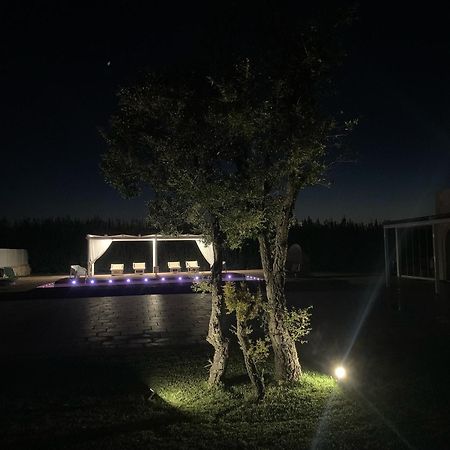 Villa Marieta Polignano a Mare Esterno foto
